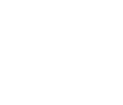 Sig Sauer