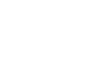 Smith and Wesson